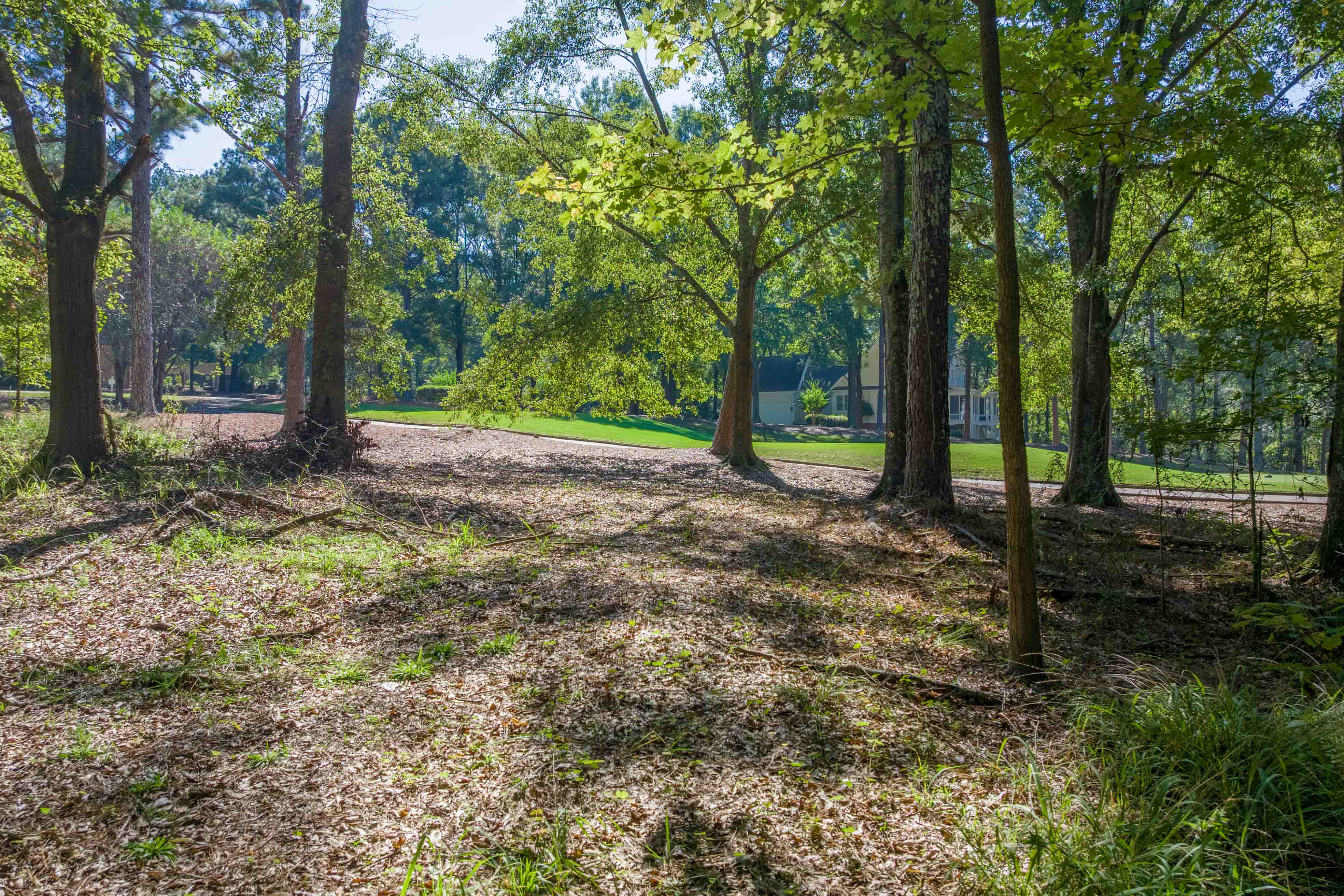 236 Broadlands Drive image 9
